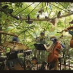 Sound of the Forest Festival Odenwald 2025 – Markus Presch über Musik-Highlights und Naturkulisse